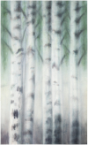 Valkeat yöt / White Nights, 2017, akvarelli / watercolour, 182 x 110 cm